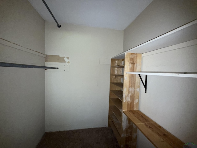 1705 Hyacinth Dr, Longview, TX 75601 - view of walk in closet