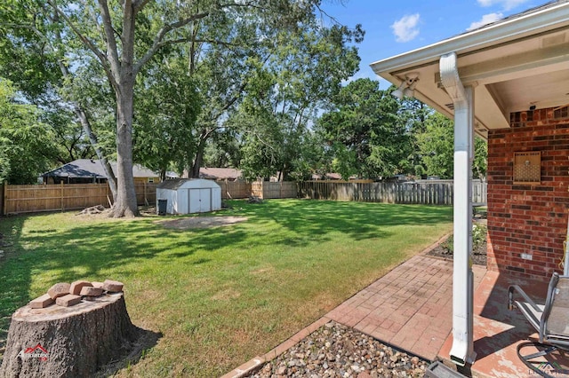 view of yard with a patio area and a storage unit