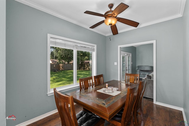 dining area with a wealth of natural light, dark hardwood / wood-style flooring, and ceiling fan