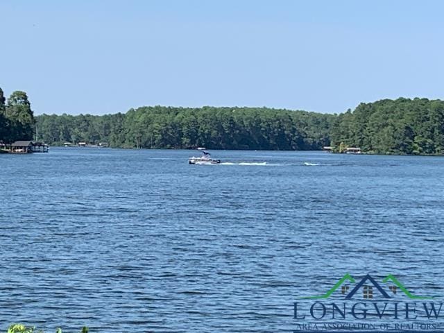 water view featuring a wooded view