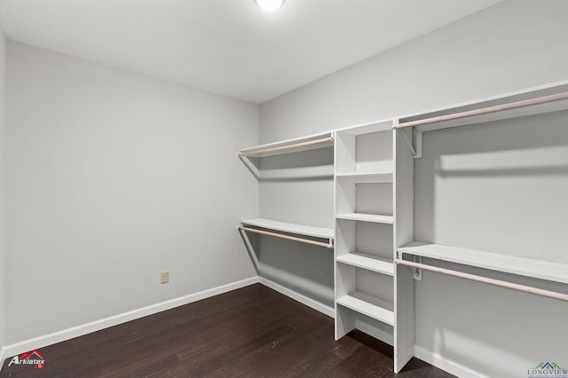 spacious closet featuring dark hardwood / wood-style flooring