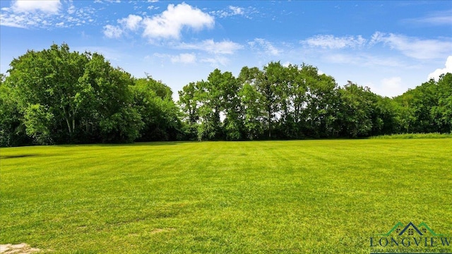 view of green lawn