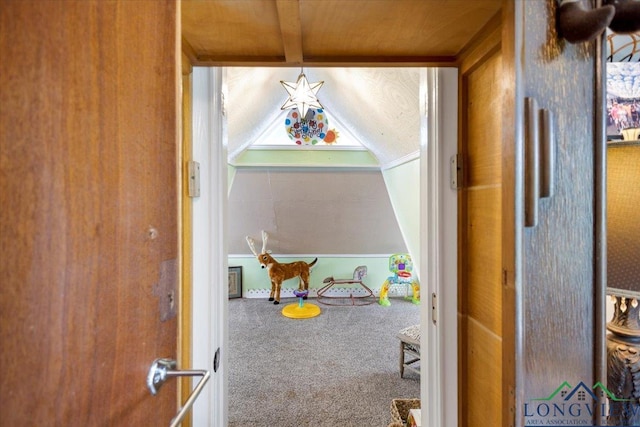 detailed view of carpet floors