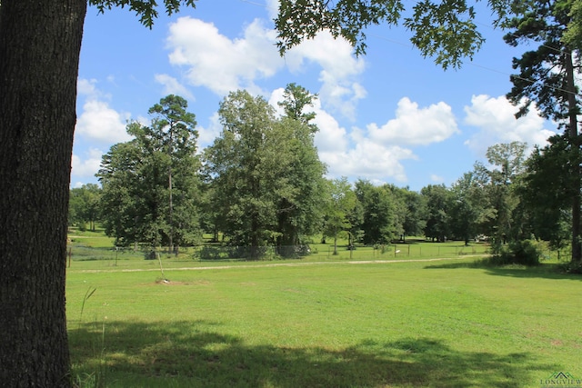 6492 N Fm 726, Diana, TX 75640 - photo 19