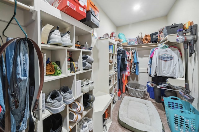 walk in closet featuring carpet