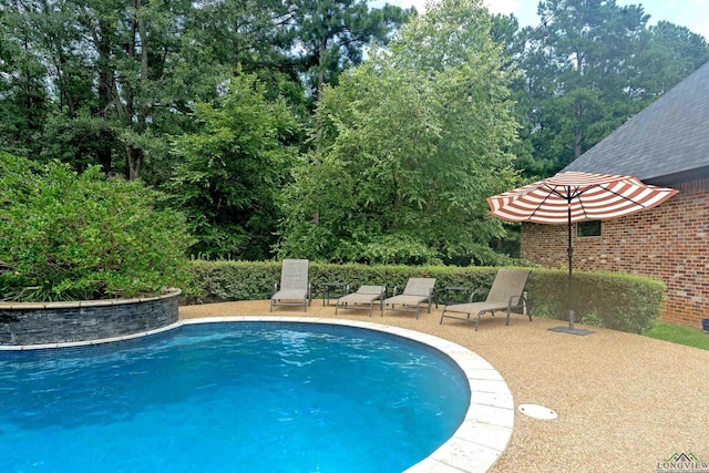 view of pool with a patio area