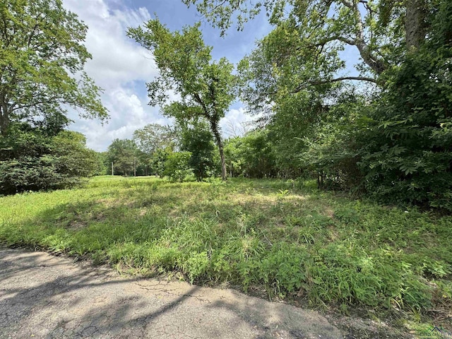 407 E Miller Ave, Gladewater, TX 75647