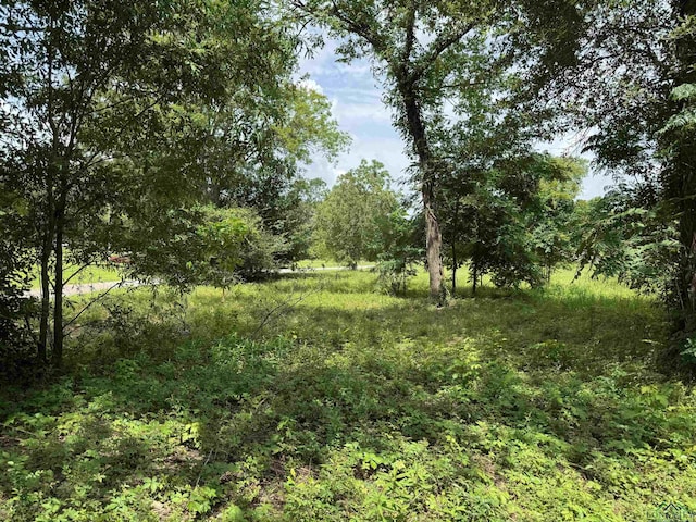 407 E Miller Ave, Gladewater, TX 75647