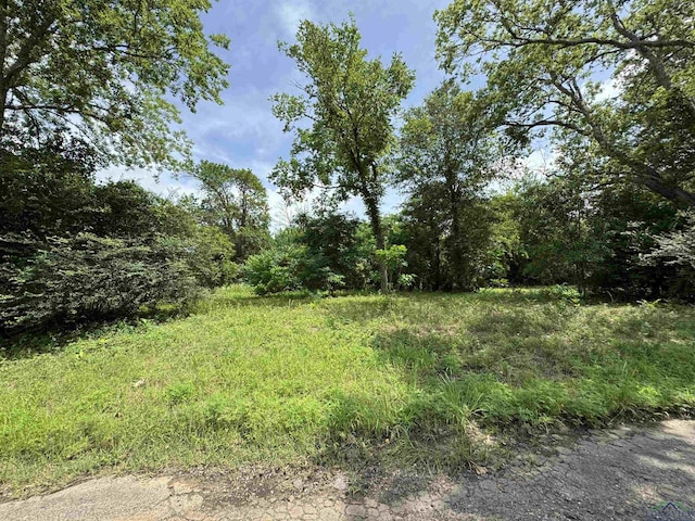 407 E Miller Ave, Gladewater, TX 75647