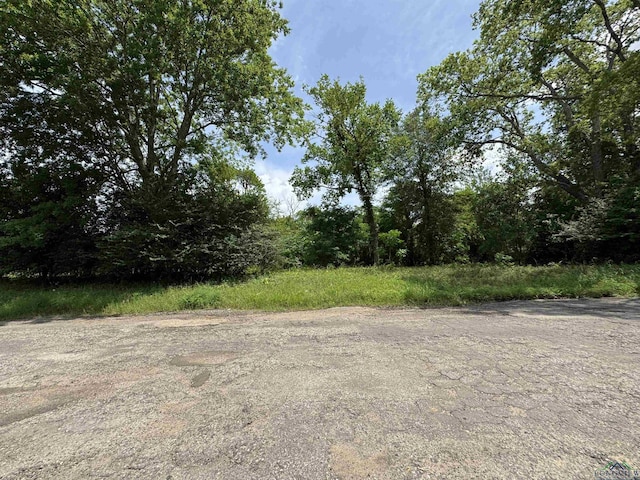 407 E Miller Ave, Gladewater, TX 75647