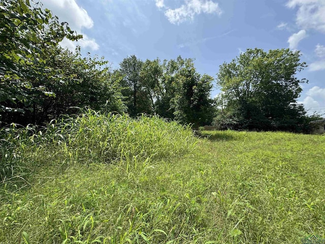 407 E Miller Ave, Gladewater, TX 75647