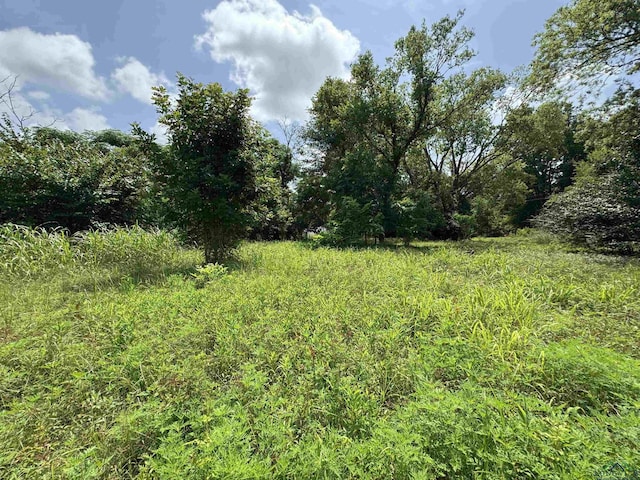 407 E Miller Ave, Gladewater, TX 75647