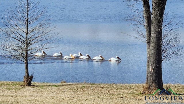 4350 Fm 1650, Gilmer, TX 75645 - water view