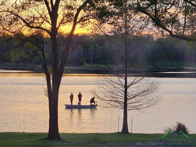 4350 Fm 1650, Gilmer, TX 75645 - water view