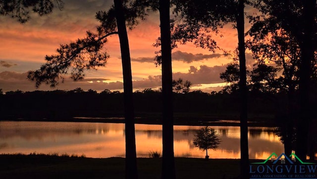 4350 Fm 1650, Gilmer, TX 75645 - water view
