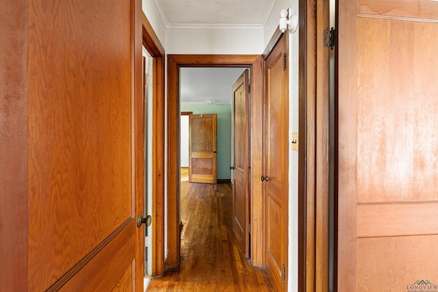 hallway featuring crown molding and dark wood-type flooring