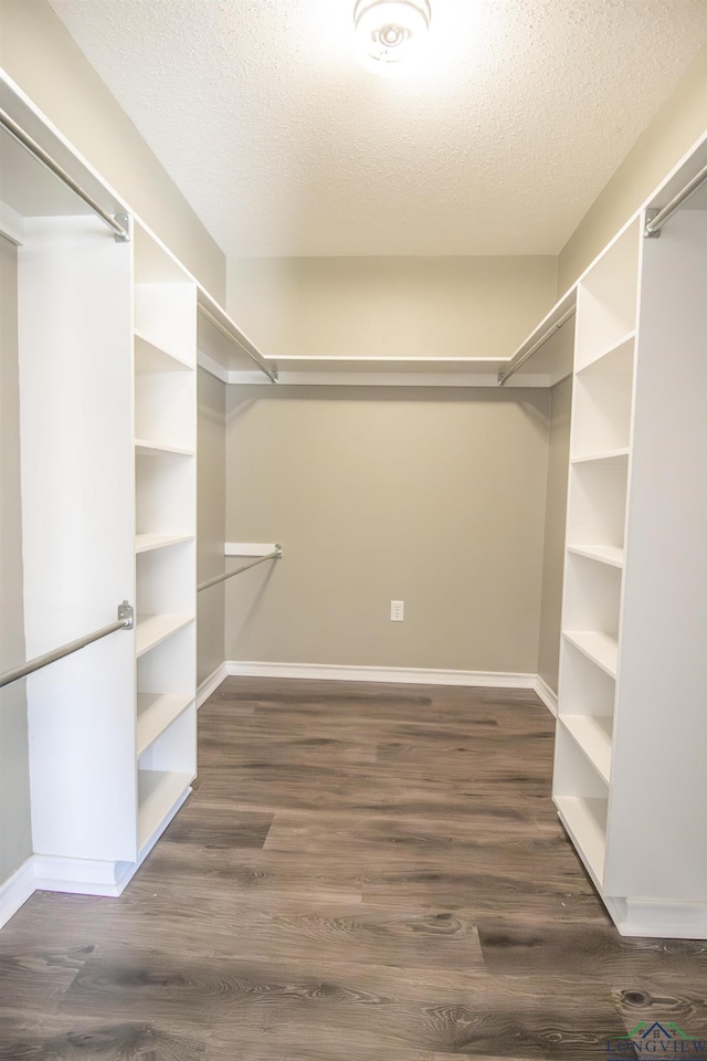 spacious closet with dark wood-type flooring