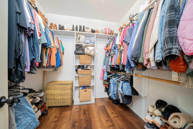 spacious closet featuring dark hardwood / wood-style flooring