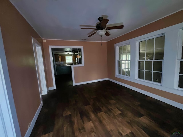 interior space featuring plenty of natural light and dark hardwood / wood-style floors