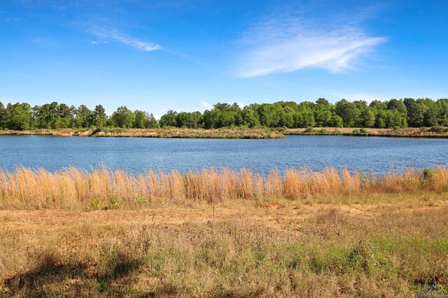 24130 Stallion Park Pl, Lindale, TX 75771 - property view of water