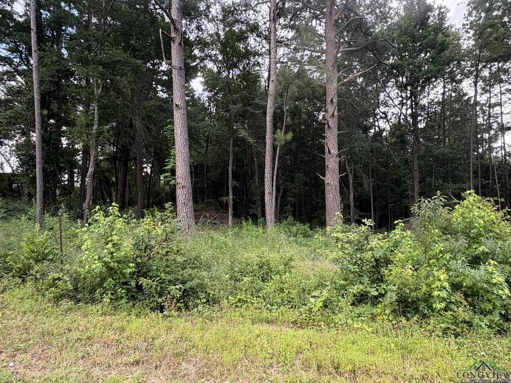 TBD2WEST Fm 2275, White Oak, TX 75693 - photo 2