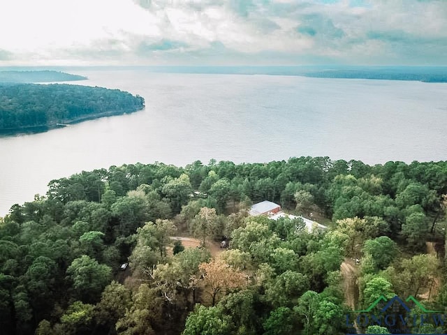 920 Deer Cove Rd, Avinger, TX 75630 - aerial view of a large body of water and a forest