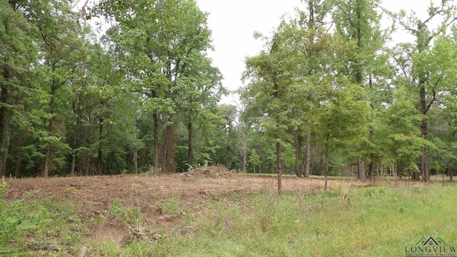 13AC Fm 134, Jefferson, TX 75657