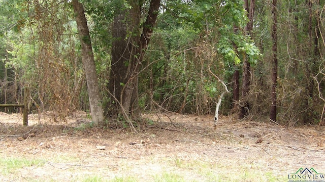 13AC Fm 134, Jefferson, TX 75657