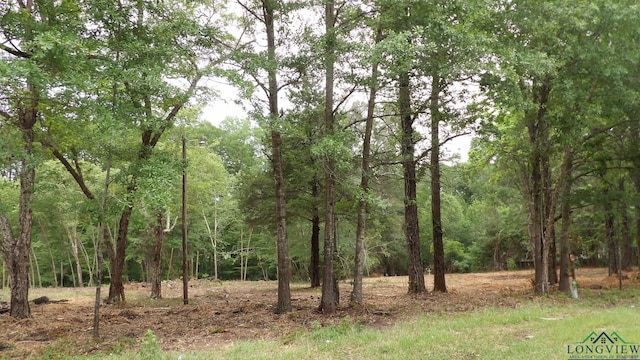13AC Fm 134, Jefferson, TX 75657