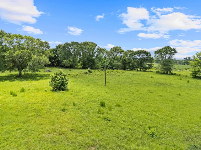1383 Bailey Cutoff, Marshall, TX 75670 - photo 38