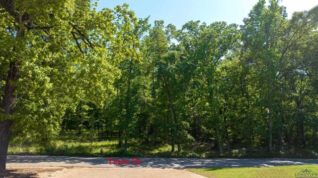 TBD Yates Dr, Longview, TX 75601