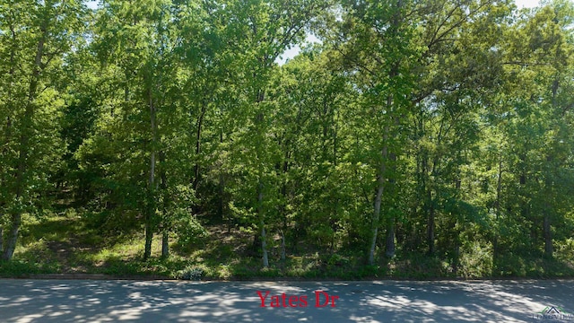 TBD Yates Dr, Longview, TX 75601
