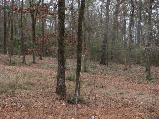 TBD Yates Dr, Longview, TX 75601
