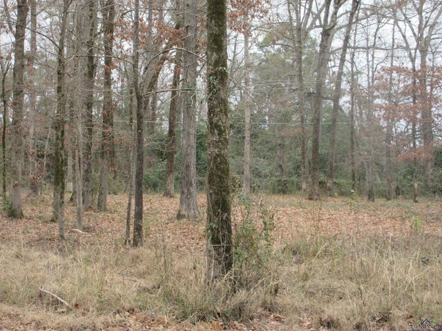 TBD Yates Dr, Longview, TX 75601