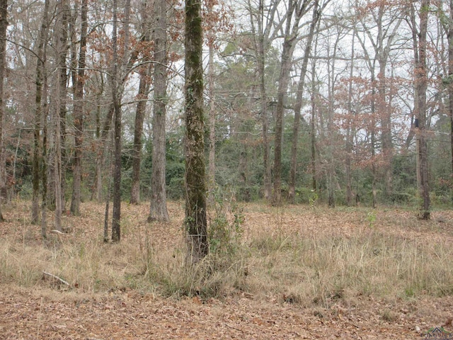 TBD Yates Dr, Longview, TX 75601