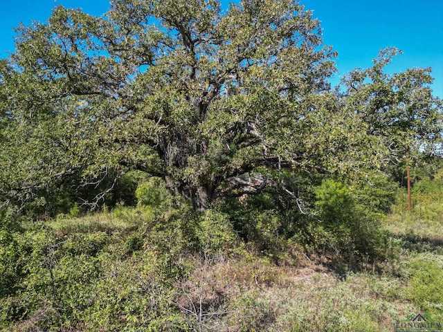 Listing photo 2 for TBD Fm 555, Gilmer TX 75645