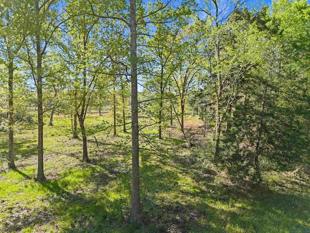 TBD County Road 163, Long Branch, TX 75669 - photo 9