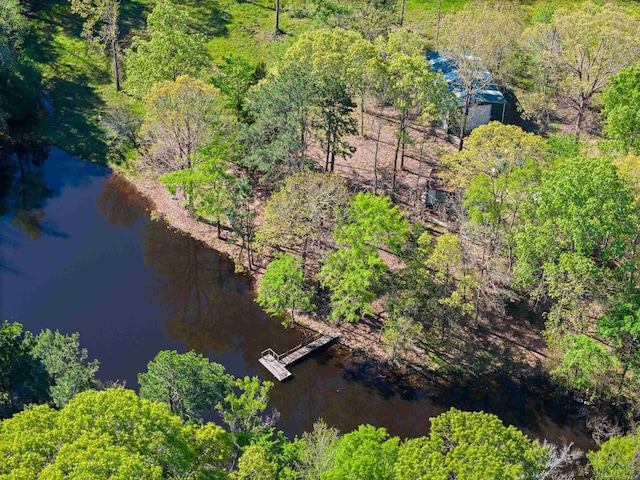 TBD County Road 163, Long Branch, TX 75669 - photo 13