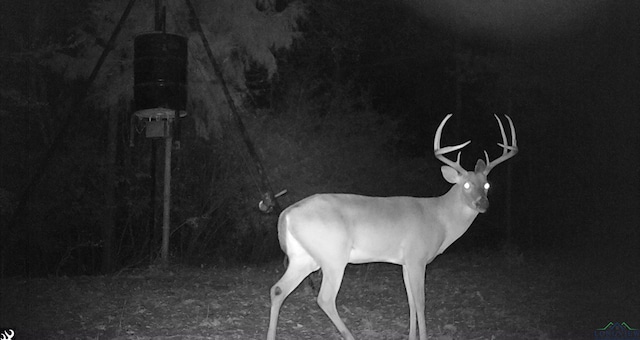 TBD County Road 163, Long Branch, TX 75669 - photo 12
