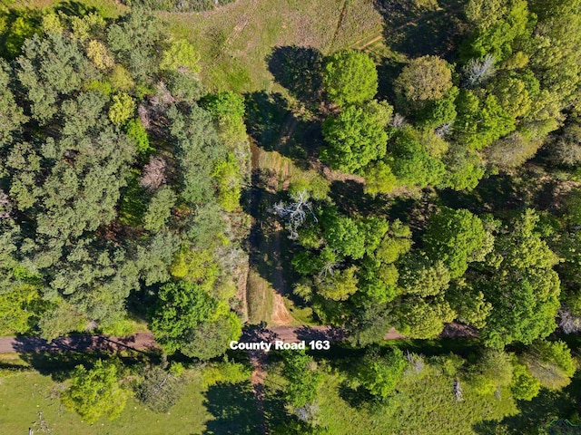TBD County Road 163, Long Branch, TX 75669 - photo 20