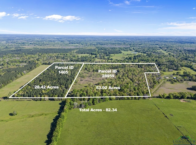 TBD County Road 163, Long Branch, TX 75669 - photo 1