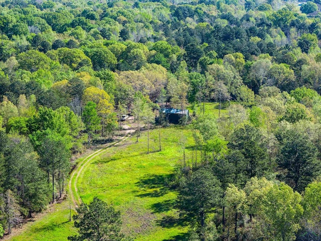 TBD County Road 163, Long Branch, TX 75669 - photo 3