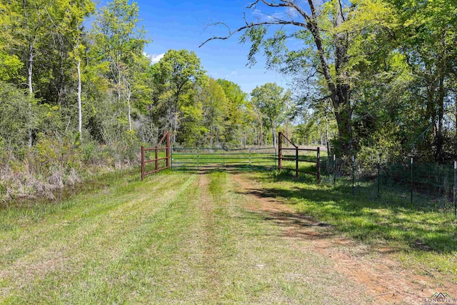 TBD County Road 163, Long Branch, TX 75669 - photo 4