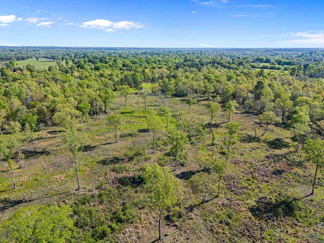 TBD County Road 163, Long Branch, TX 75669 - photo 29