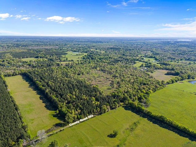 TBD County Road 163, Long Branch, TX 75669 - photo 2