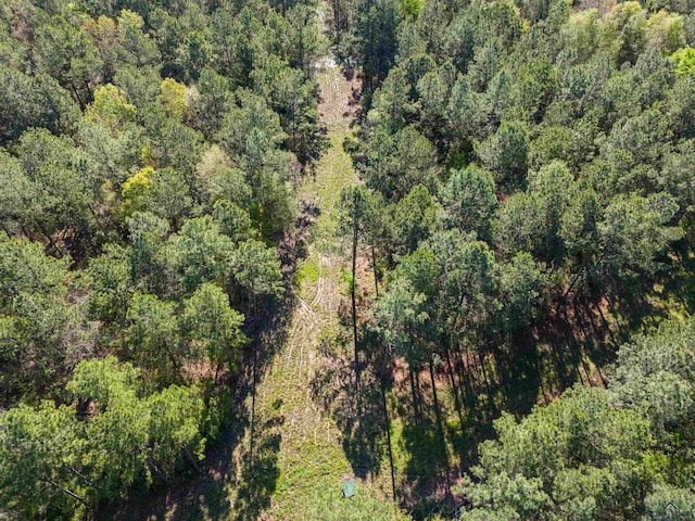 TBD County Road 163, Long Branch, TX 75669 - photo 24