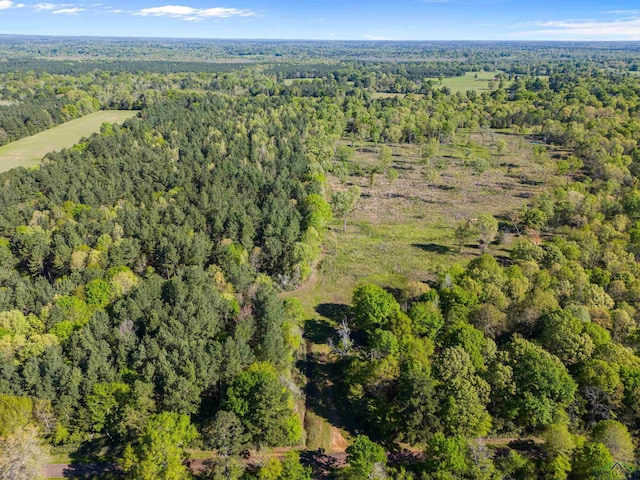 TBD County Road 163, Long Branch, TX 75669 - photo 21