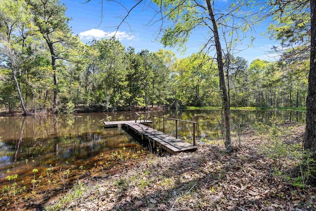 TBD County Road 163, Long Branch, TX 75669 - photo 6
