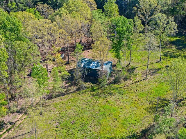 TBD County Road 163, Long Branch, TX 75669 - photo 17