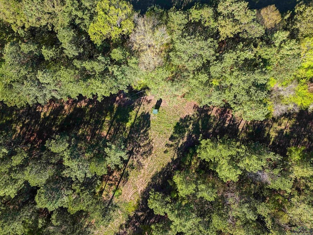 TBD County Road 163, Long Branch, TX 75669 - photo 11